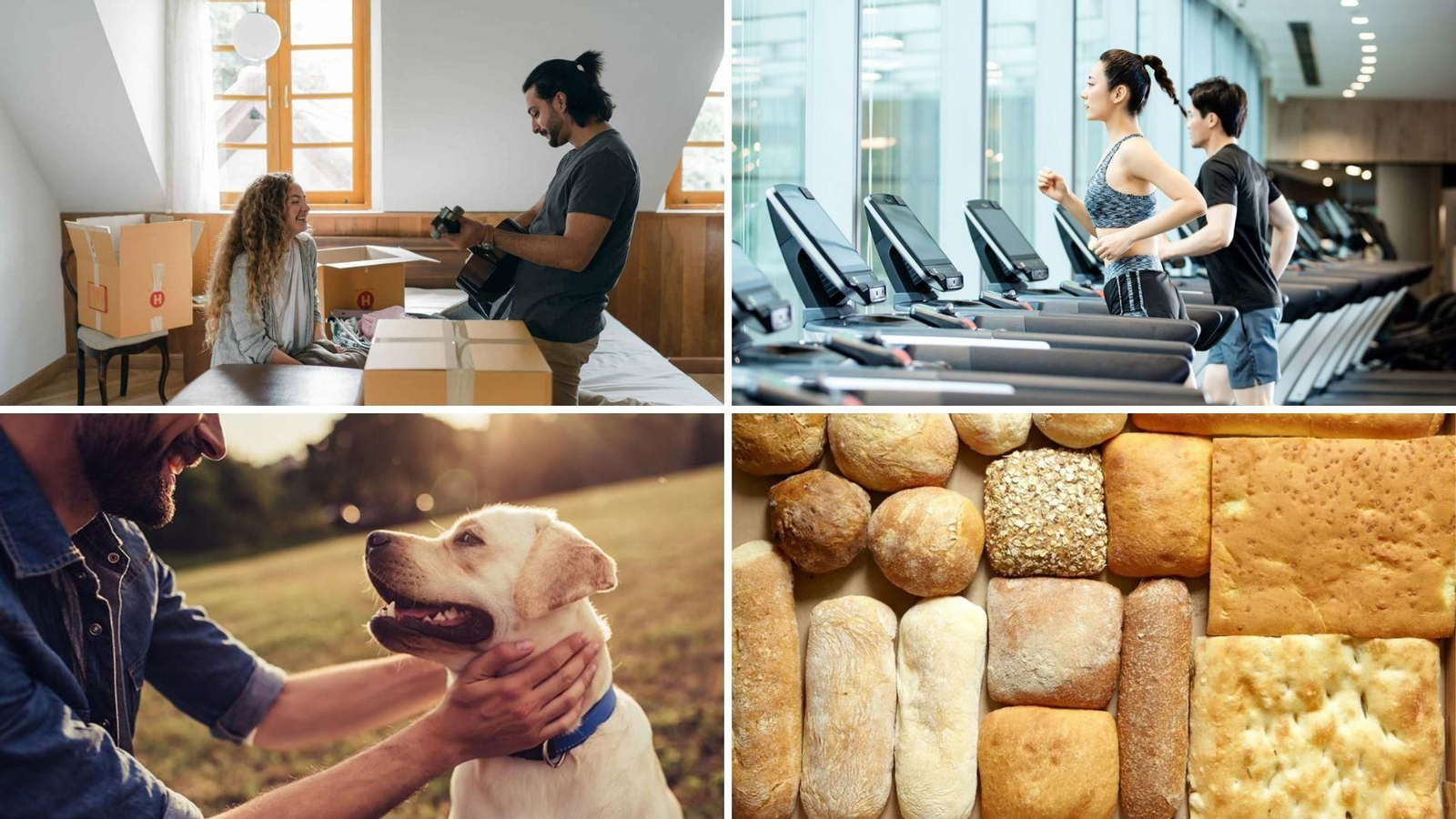 Los andaluces podrán deducirse gastos de alquiler, mascotas, deporte y alimentación especial, incluyendo medidas para jóvenes, mayores, personas con discapacidad y celíacos