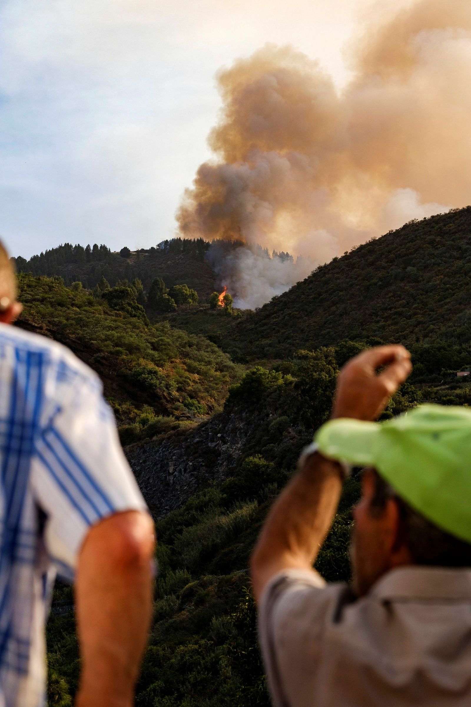 Las imágenes del incendio forestal en Gran Canaria.