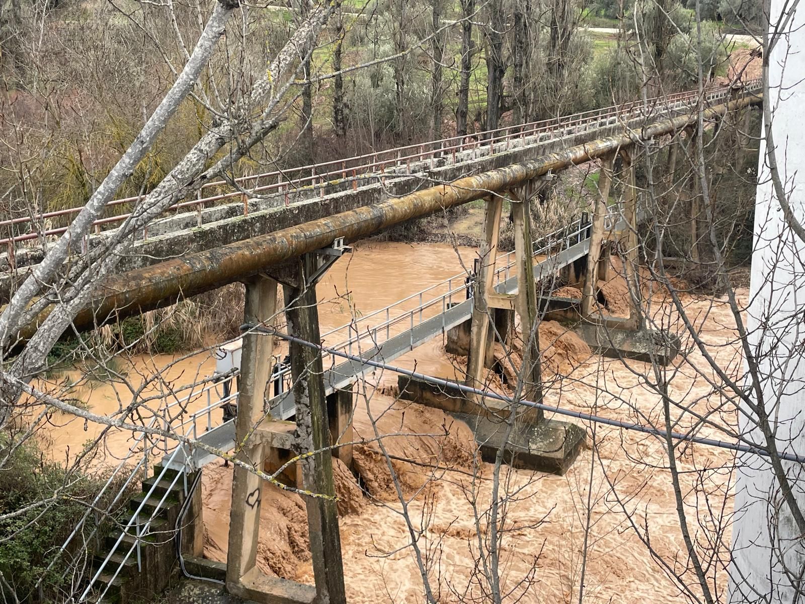 Guadalquivir a su paso por Mogón
