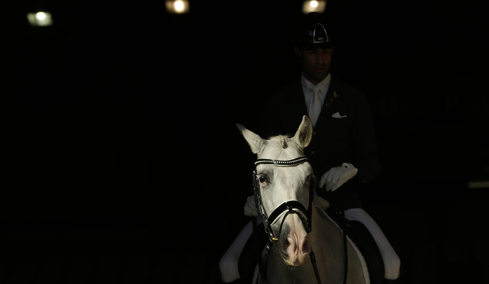 Imágenes del Sicab 2020 en su primer día