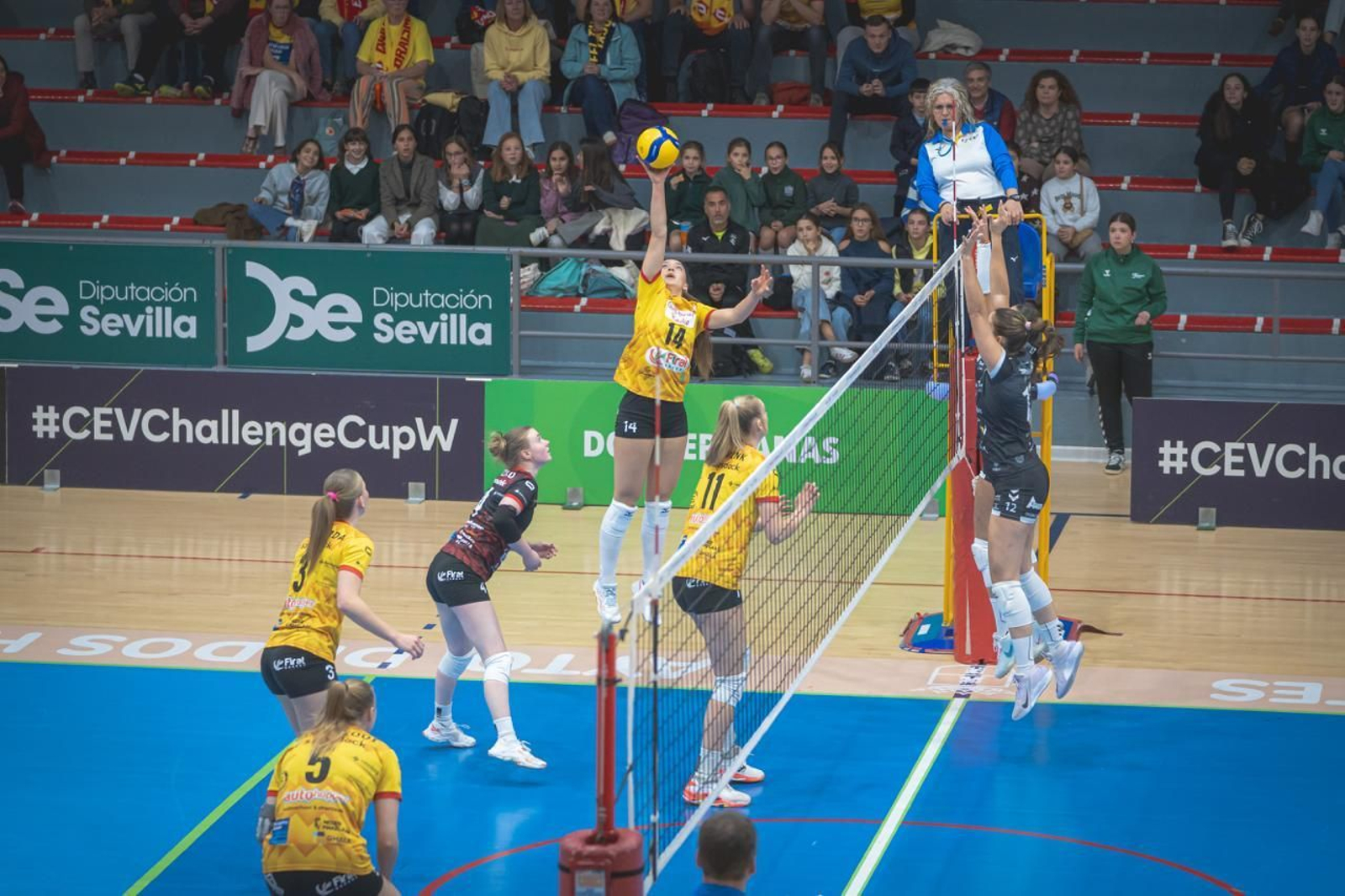 Las fotos del Fundación Cajasol Andalucía-Dynamo Apeldoorn