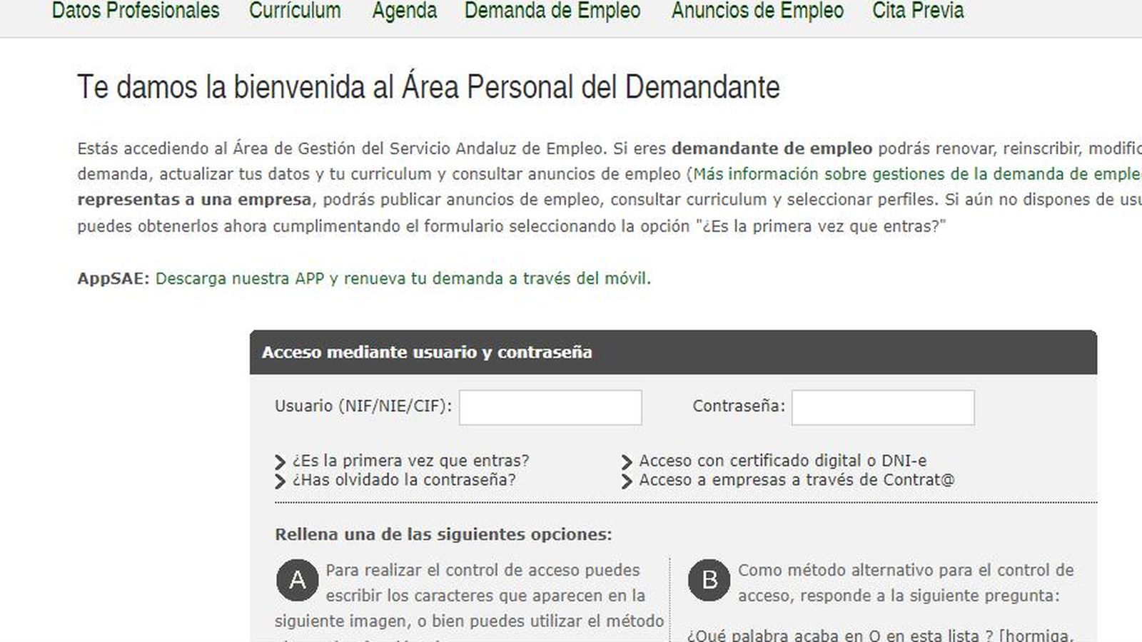 Pantalla para acceder a tus datos del SAE.