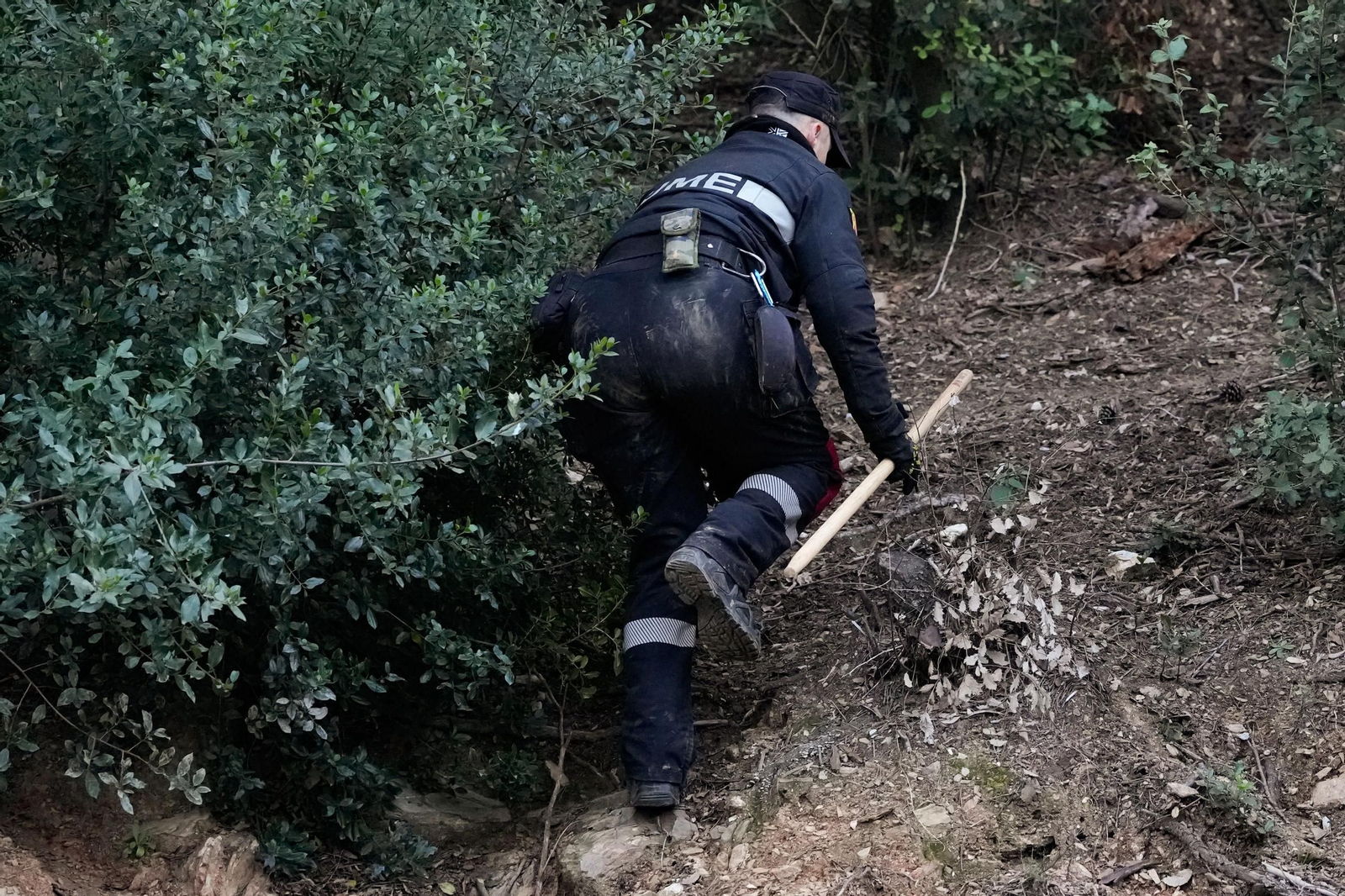 Miembros de la UME rastrean la sierra de Collserola en Cataluña.