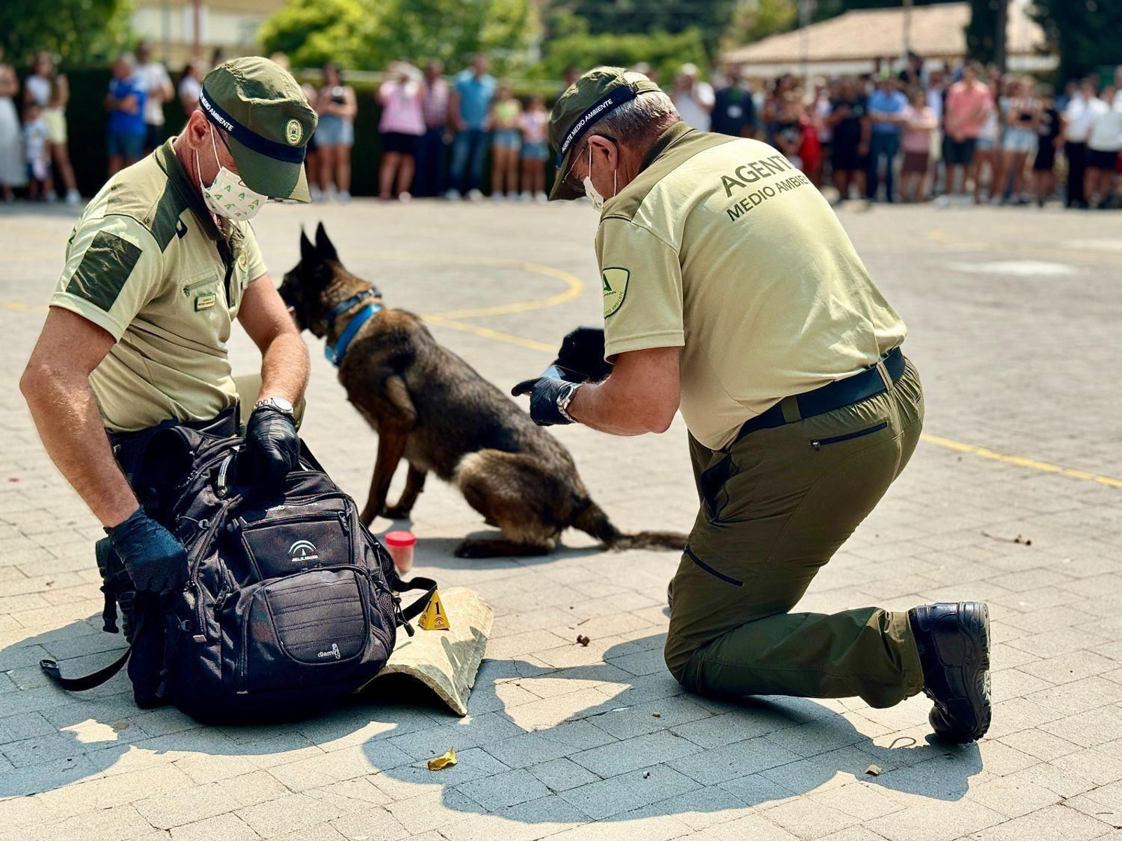 Expohuelma celebra su 40 aniversario como referente nacional de desarrollo rural y ganadero