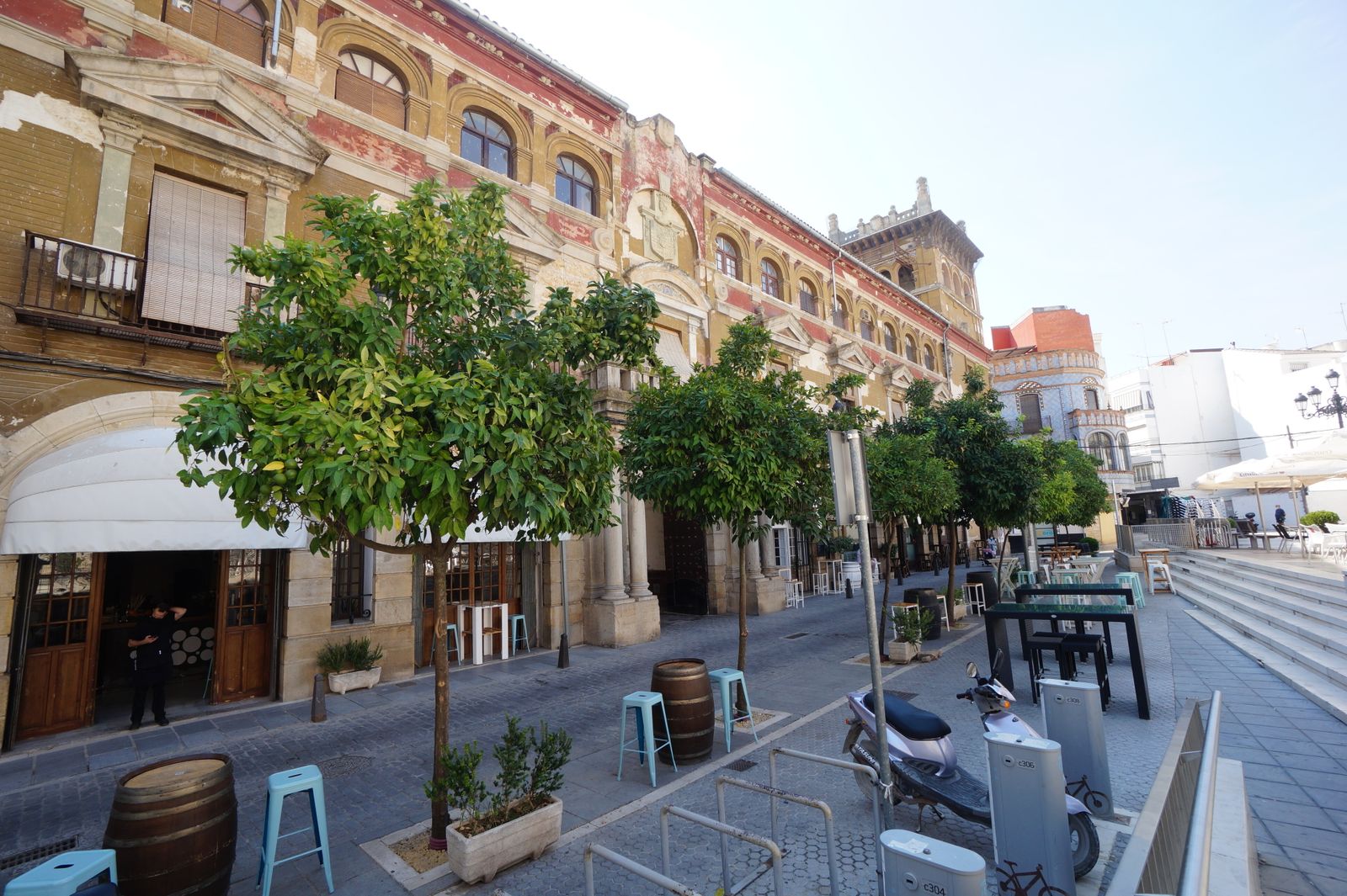 Alcorques con naranjos en la plaza de la Rosa.