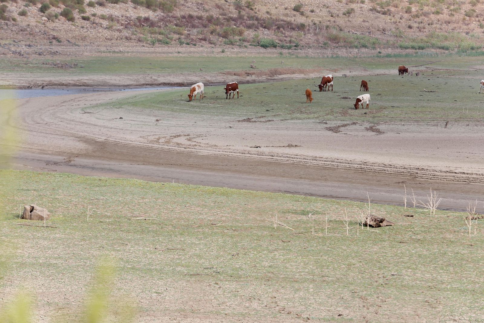 Fotos del estado del pantano de Charco Redondo en Los Barrios