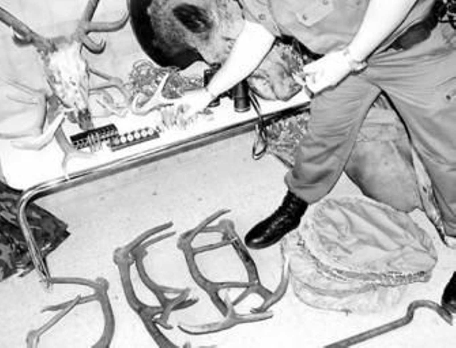 Artes de caza prohibidas y piezas intervenidas por la Guardia Civil.