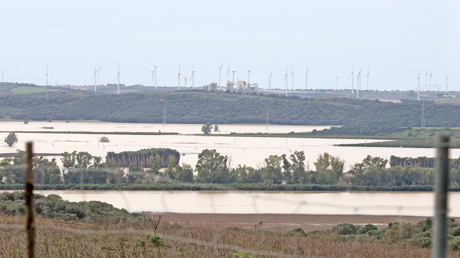 El Guadalete comienza a bajar su nivel poco a poco por la zona rural de Jerez