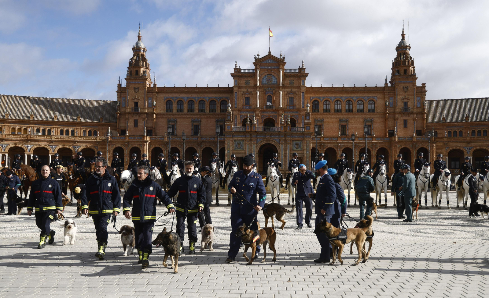 La bendición de  animales de la Policía Nacional con motivo de San Antón, en imágenes