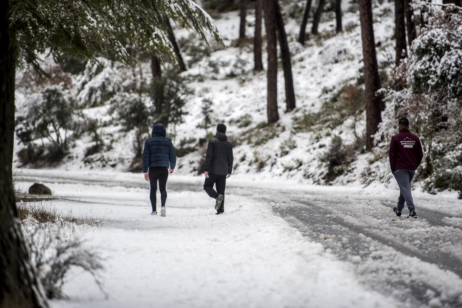 Todas las imágenes del paso del temporal por Granada