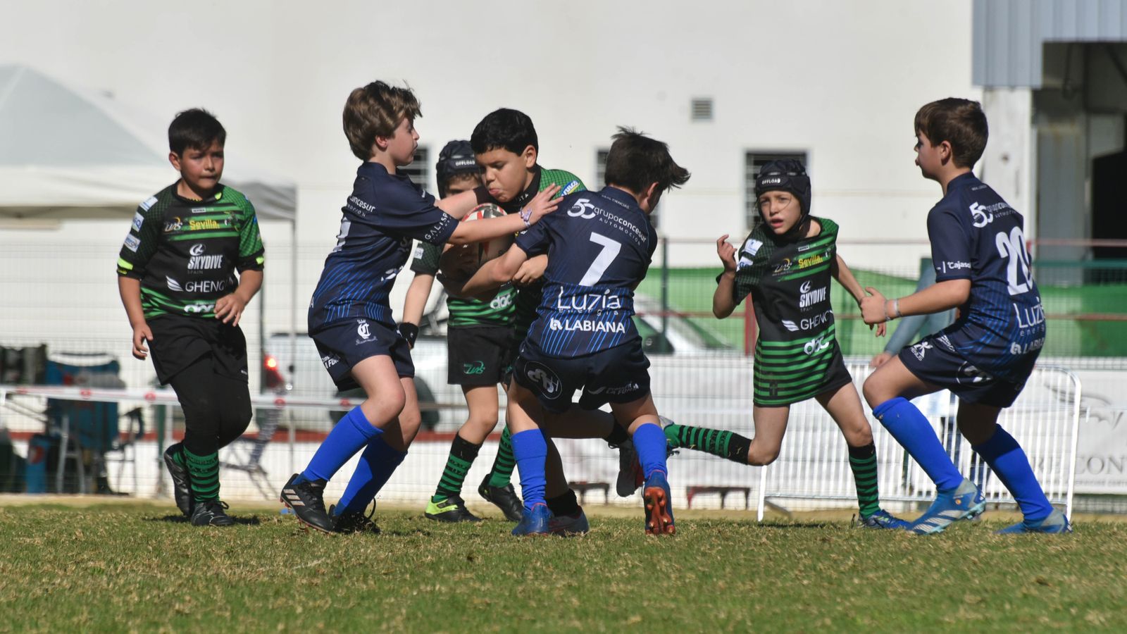 Las fotos del Festival Andaluz de rugby gradual en Pueblo Nuevo de Guadiaro