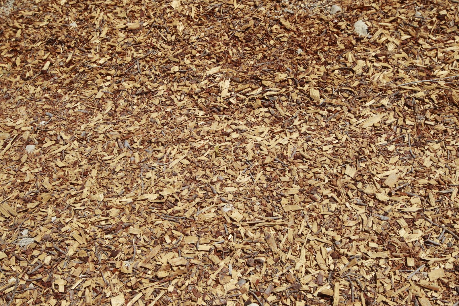 Imágenes de la sequía que golpea con dureza la producción de cereal en Los Vélez