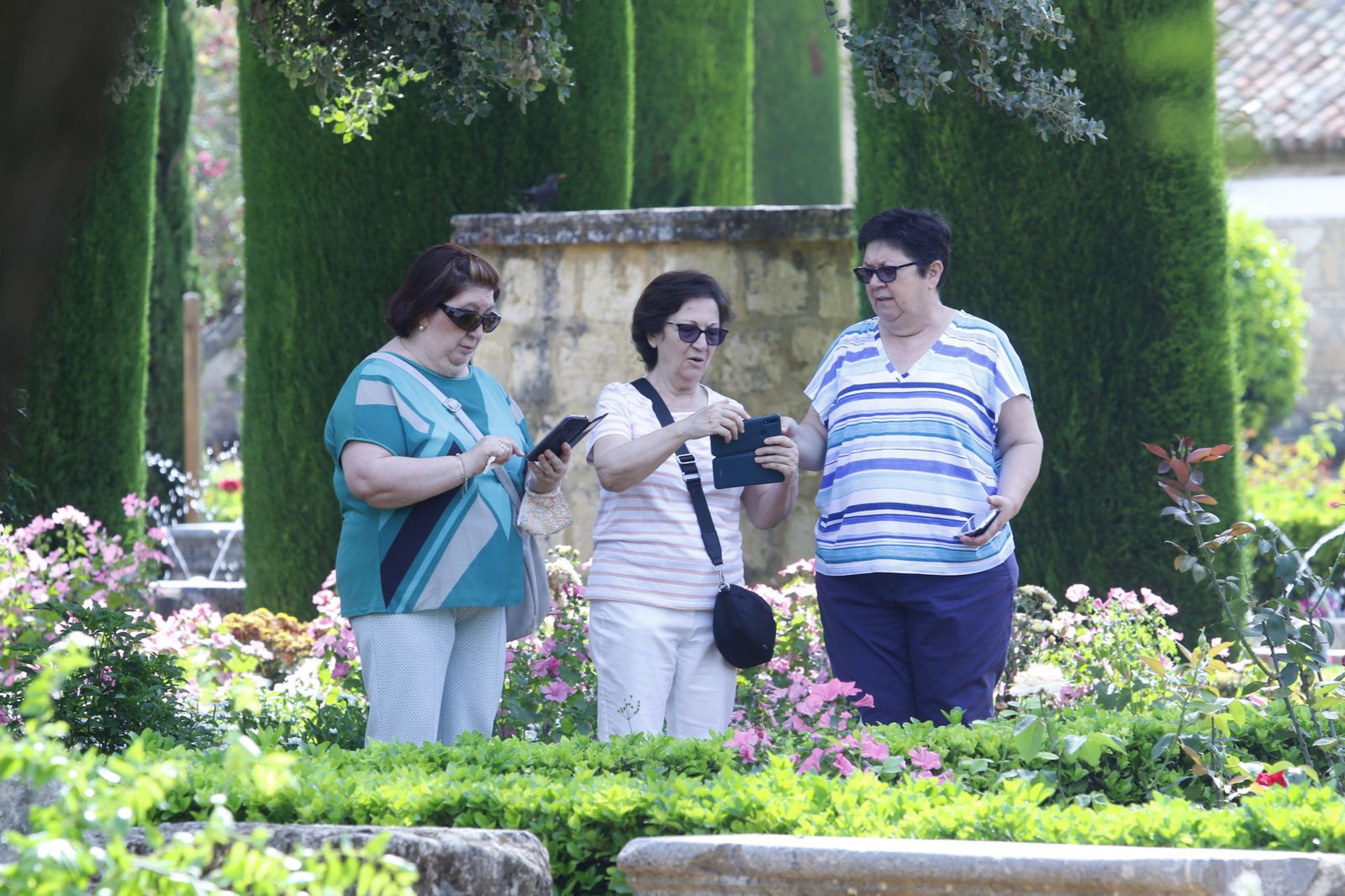 Las fotografías de la reapertura al público del Alcázar