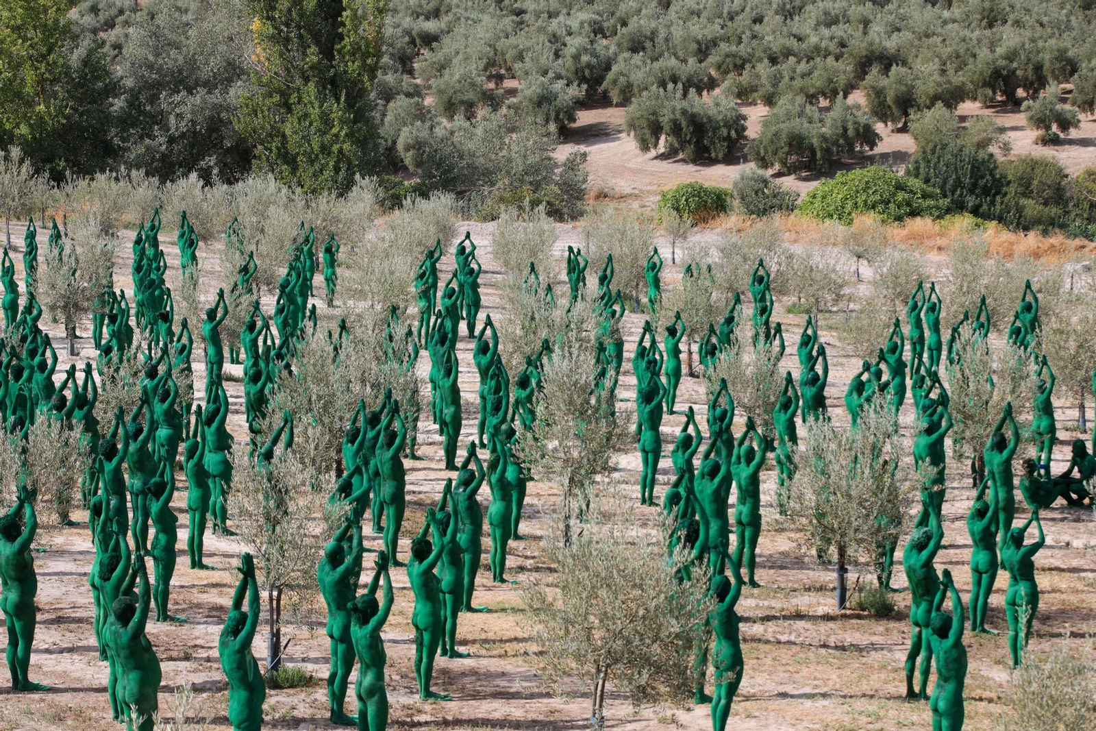 Las mejores imágenes del posado para Spencer Tunick en un olivar granadino.