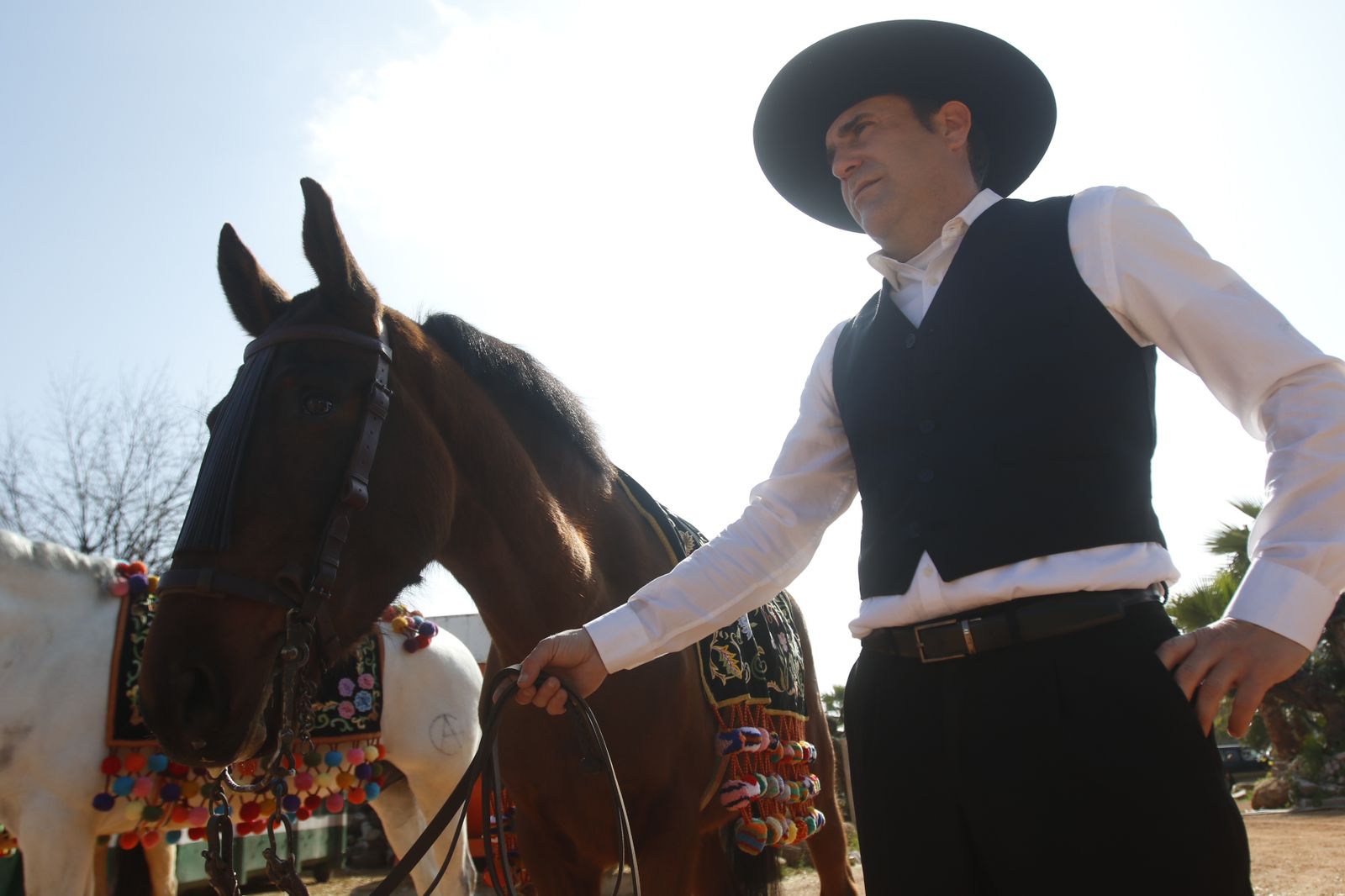 La marcha hípica en Córdoba por el 28-F, en fotografias.