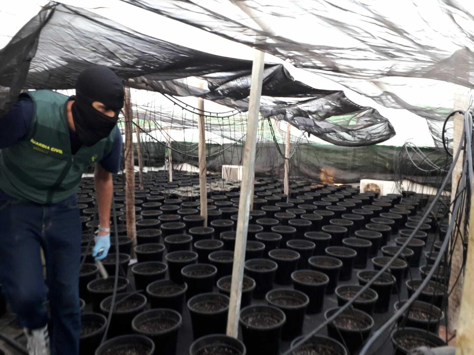 Las imágenes de la operación Pozo Green