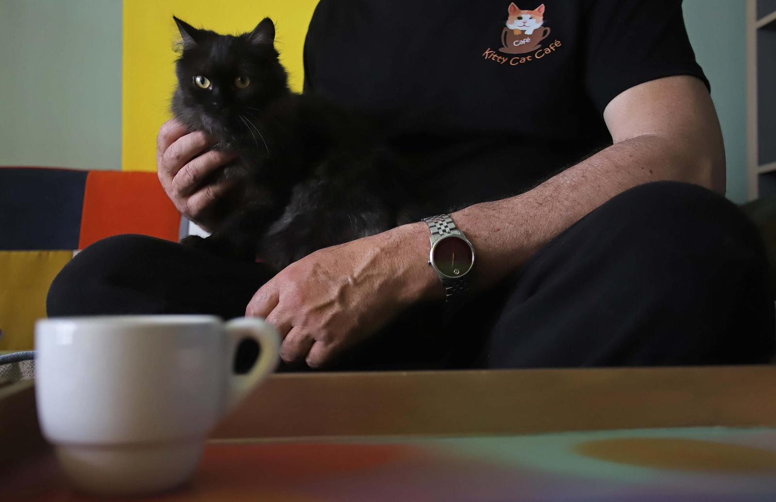 Fotos de Kitty Cat, la cafetería - refugio de gatos en La Línea