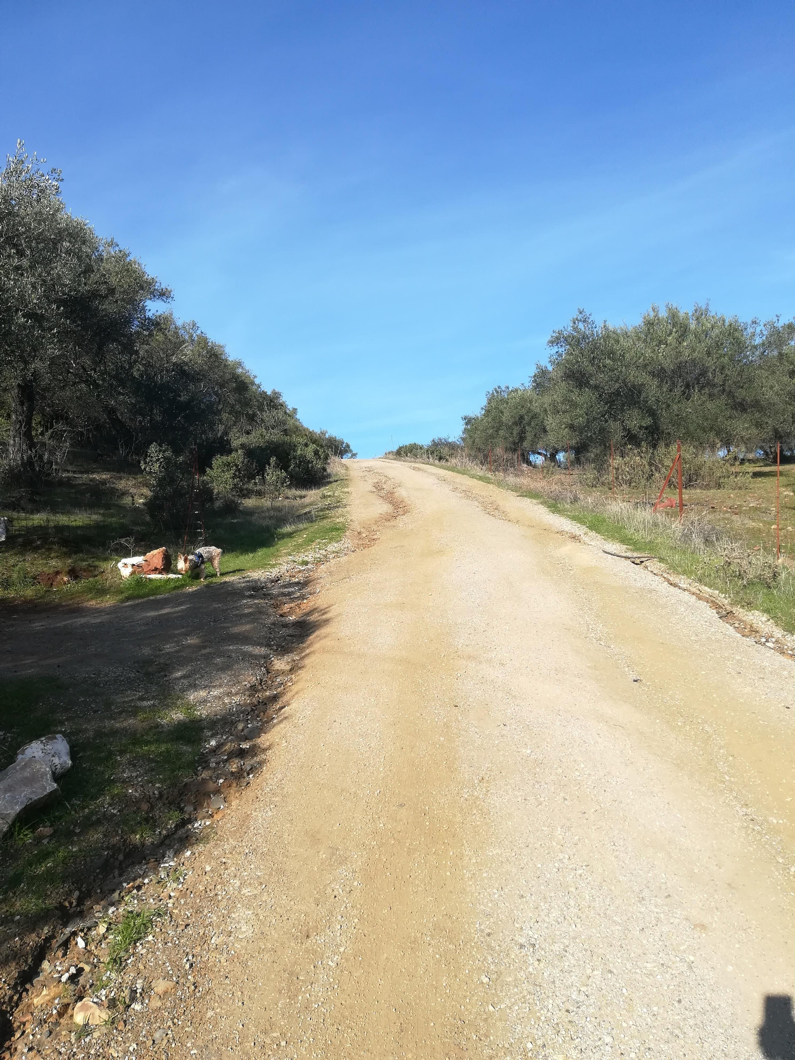 La subida al Mojón en Santa Olalla del Cala