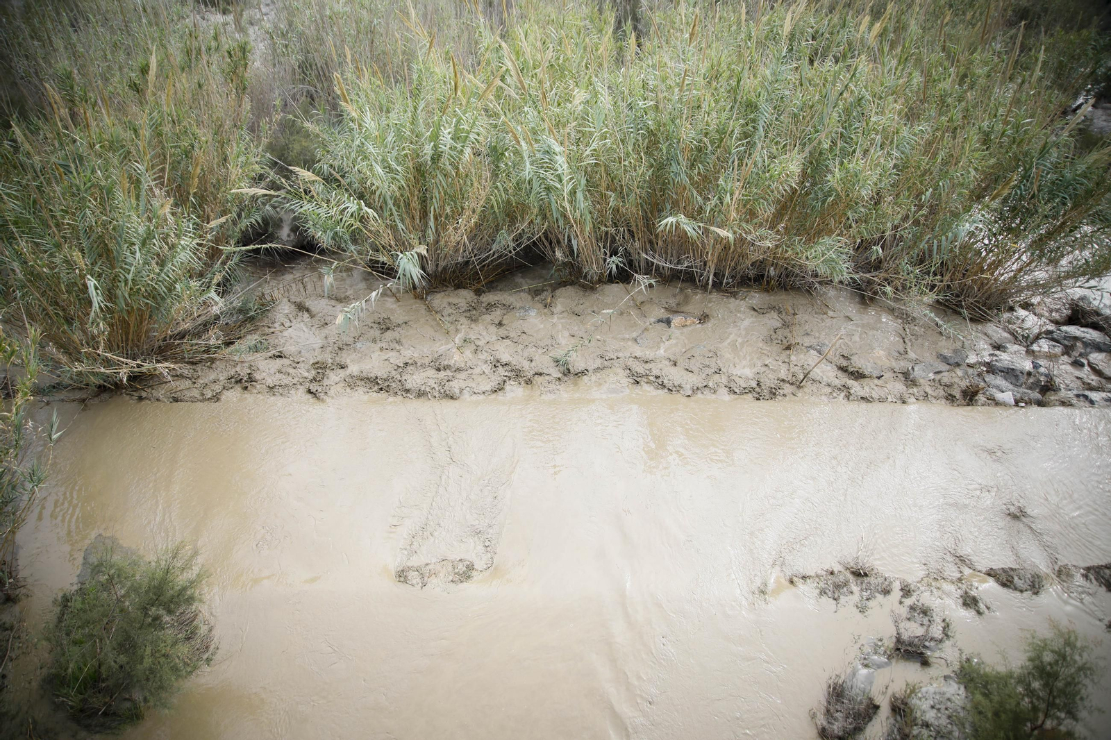La desembocadura del río Andarax, en imágenes