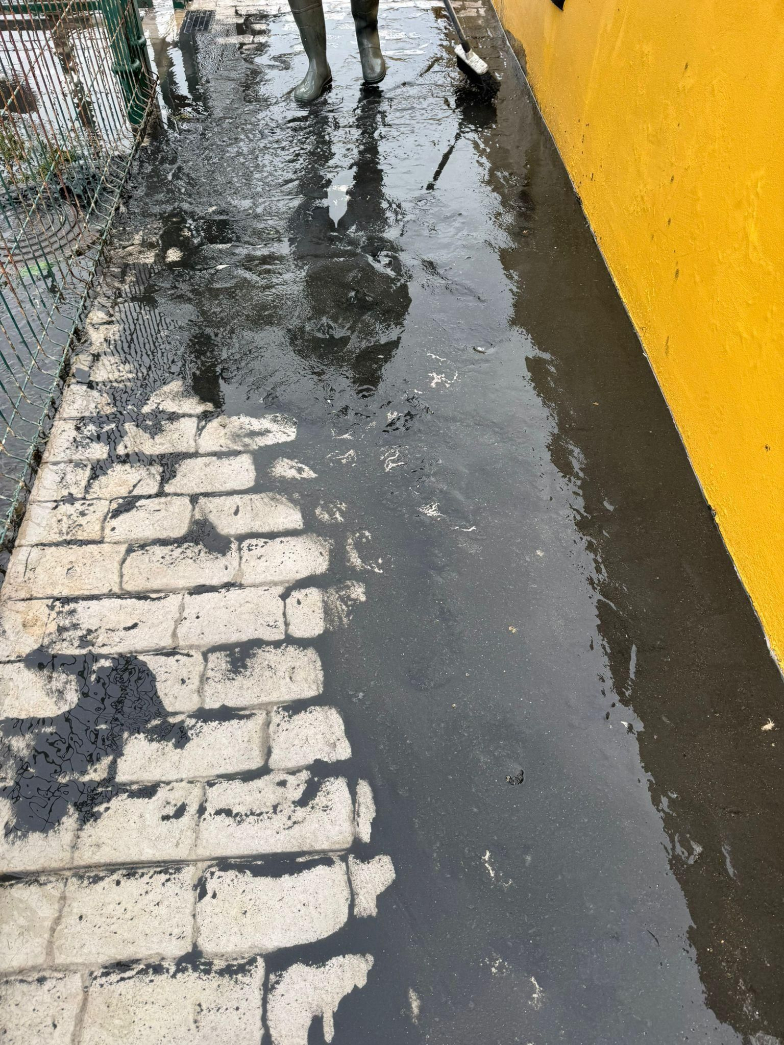 Laguna de lodo y aguas pestilentes en el paseo marítimo de Los Lances, en Tarifa.