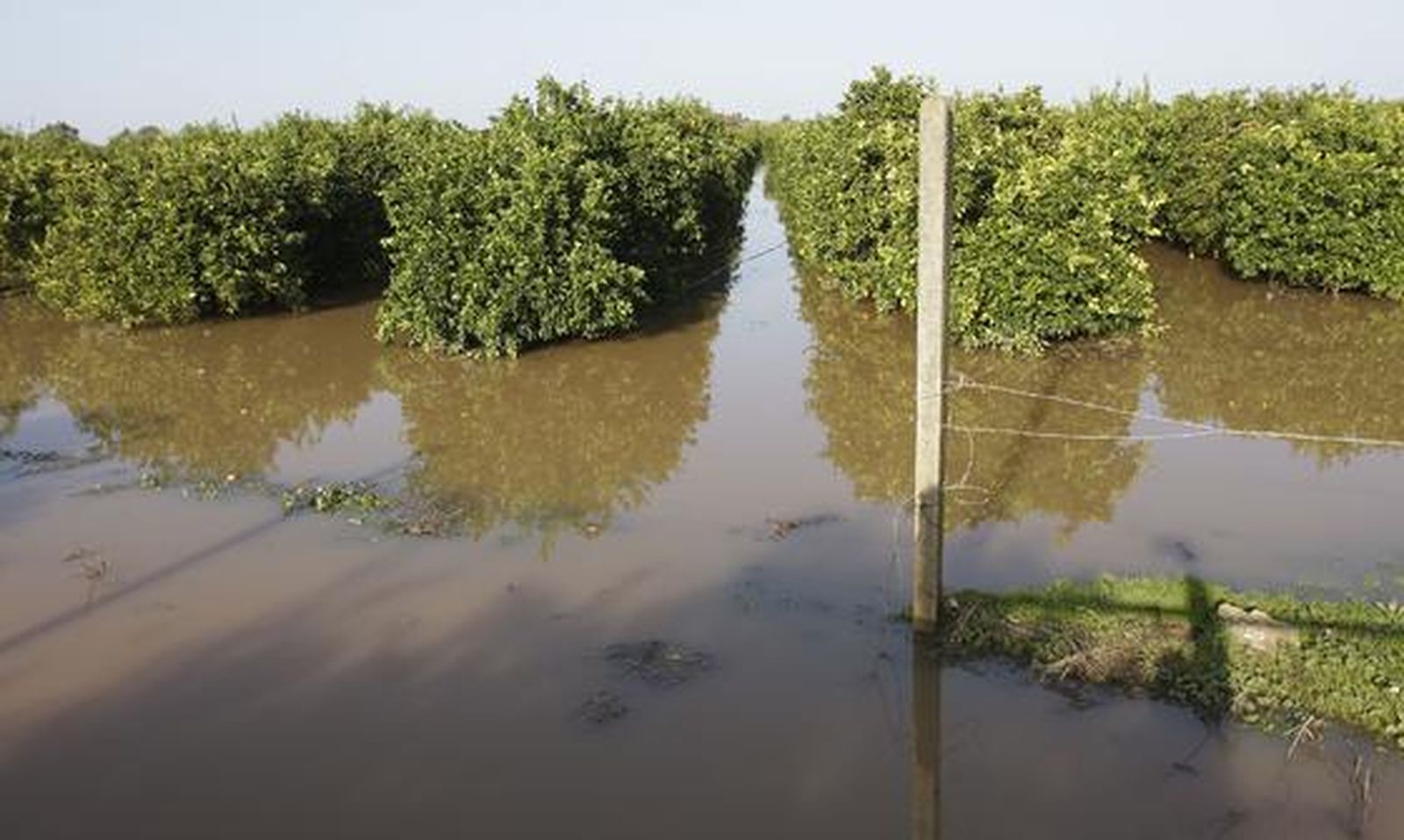 Foto: José Ángel García