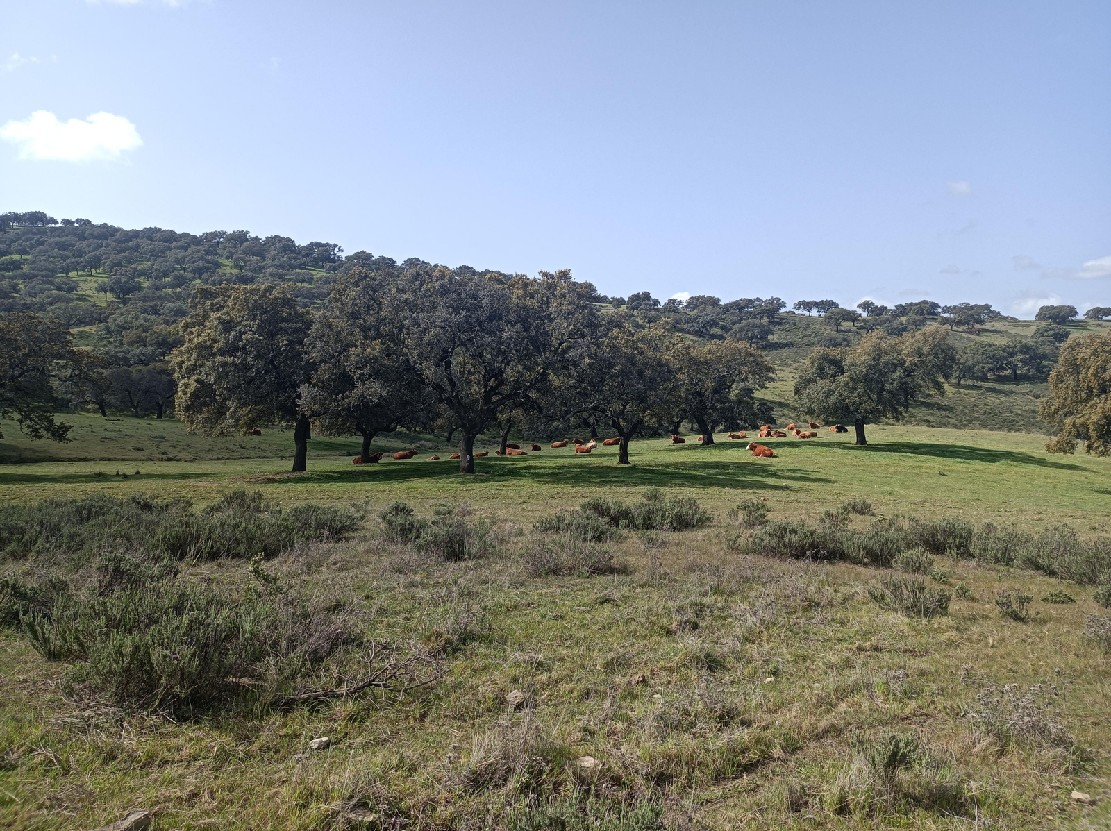 Fotos de la georruta de La Lobera