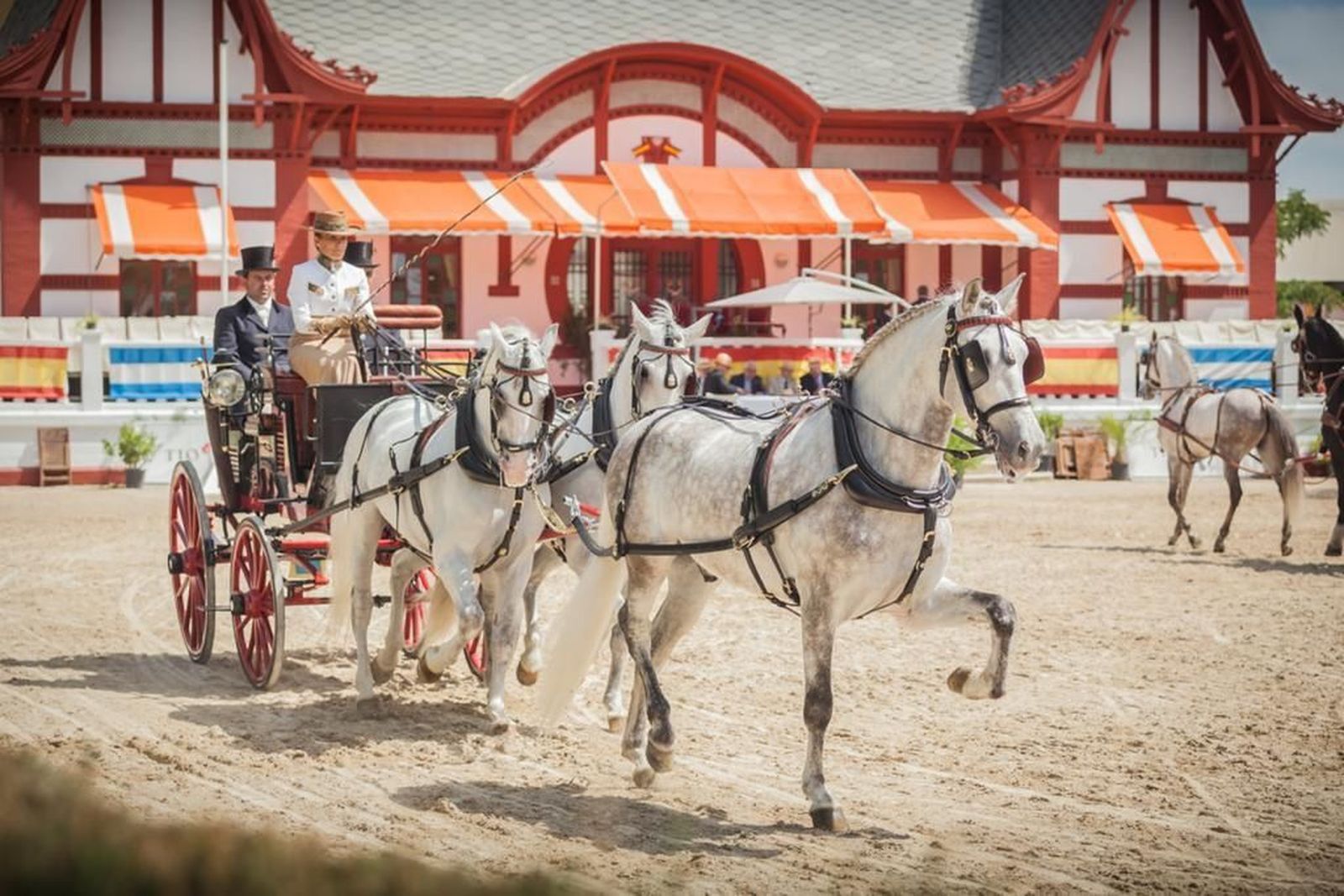 Imagen de un Break de Caza enganchado con guarnición Inglesa en la modalidad de tresillo.