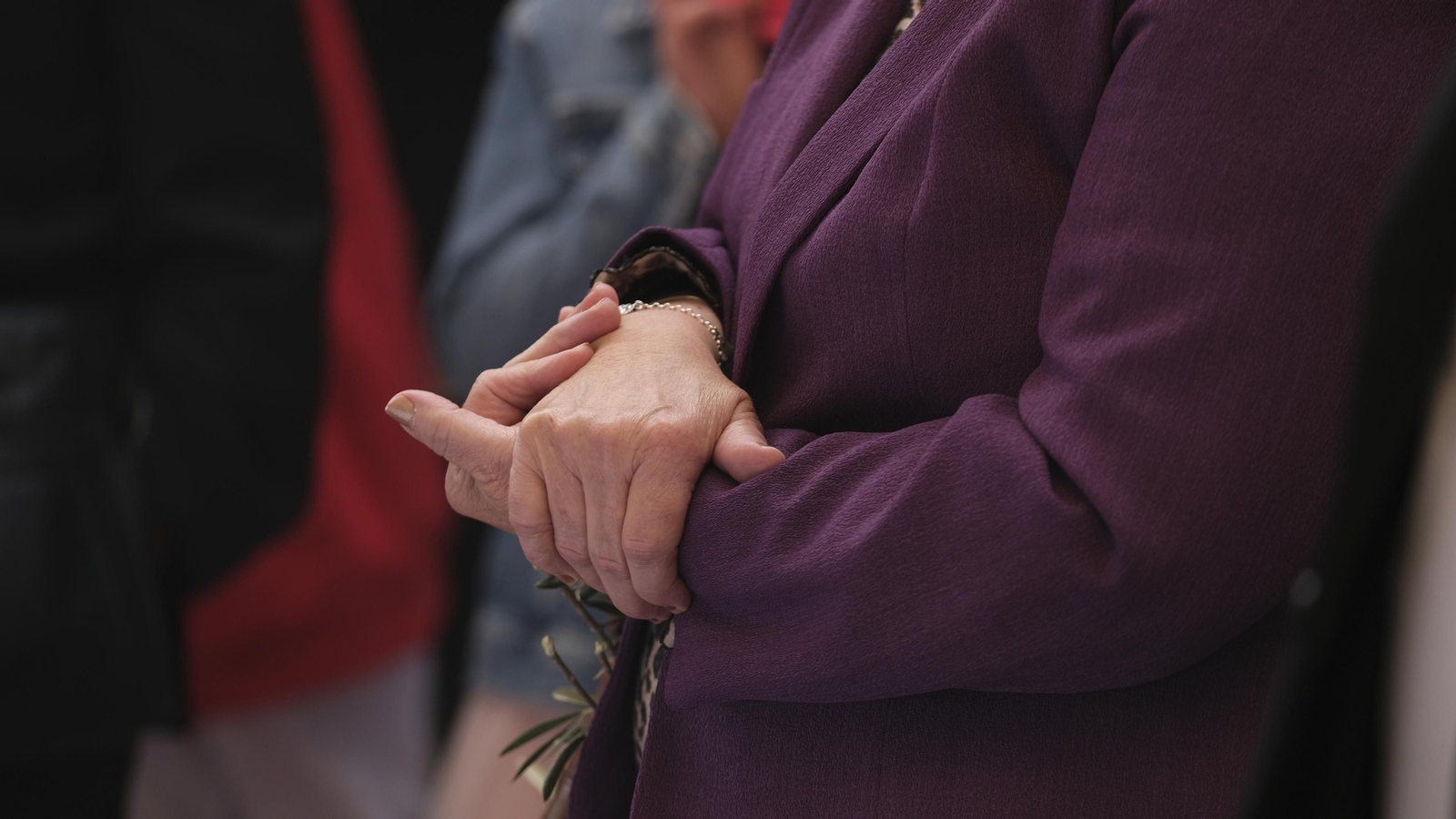 Imágenes de la Procesión de la Borriquita de Almería