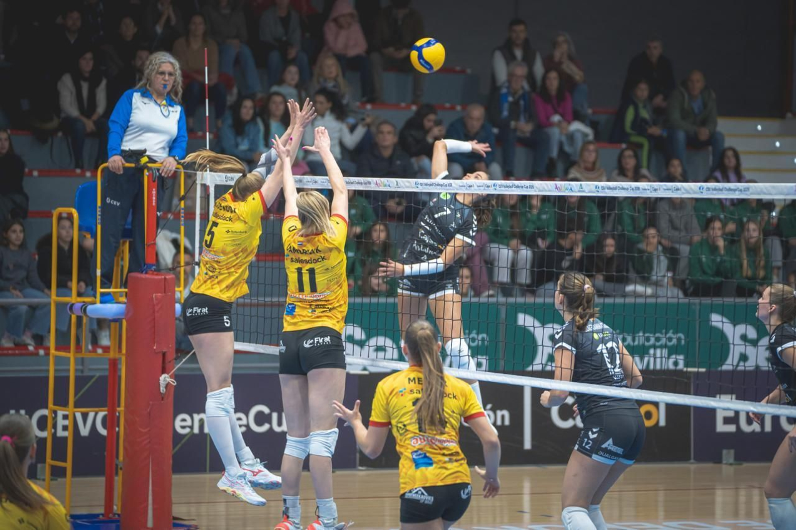 Las fotos del Fundación Cajasol Andalucía-Dynamo Apeldoorn