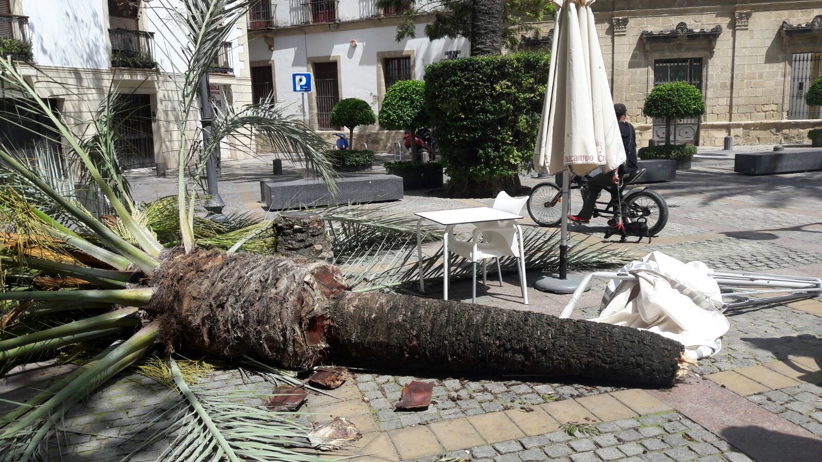 Las imágenes del temporal de viento en Jerez