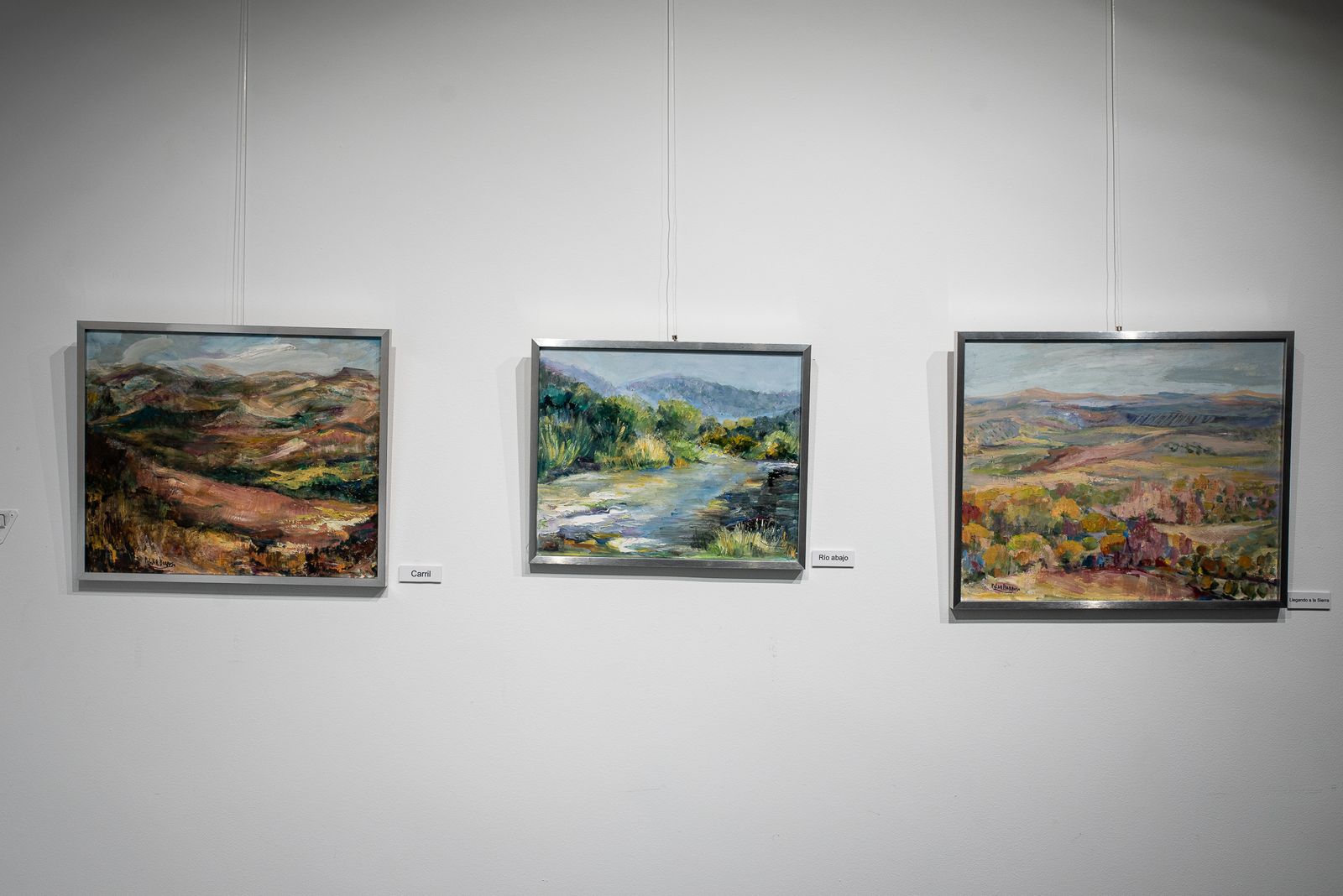 Imágenes de la inauguración de la exposción "Paisajes" de Pilar Barroso