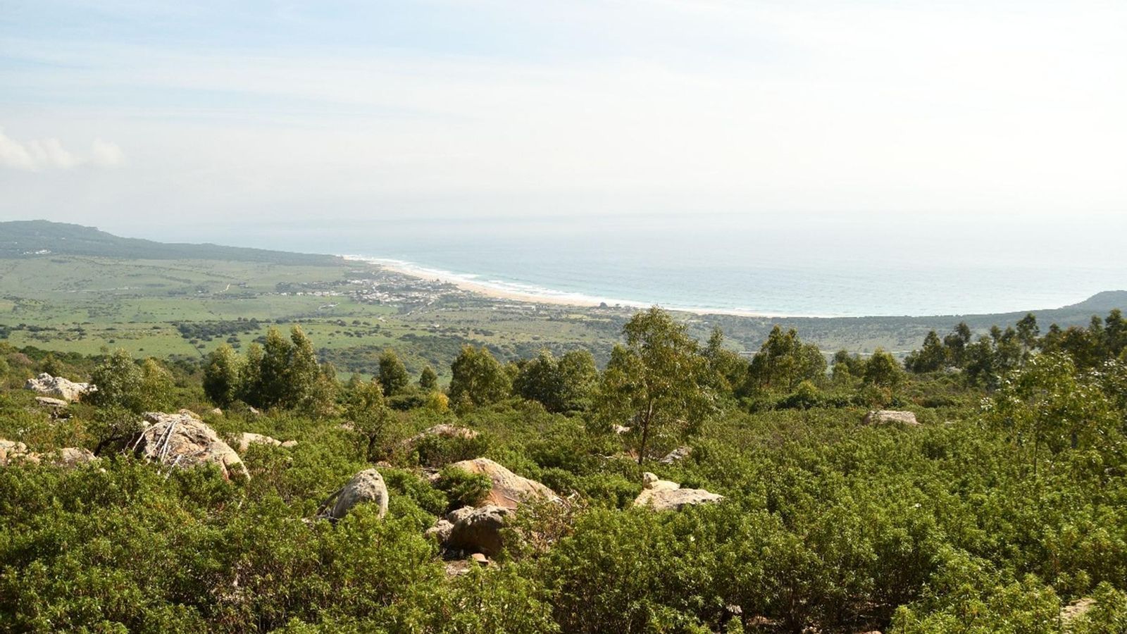 Vista desde el Conjunto del Realillo de la Ensenada de Bolonia.