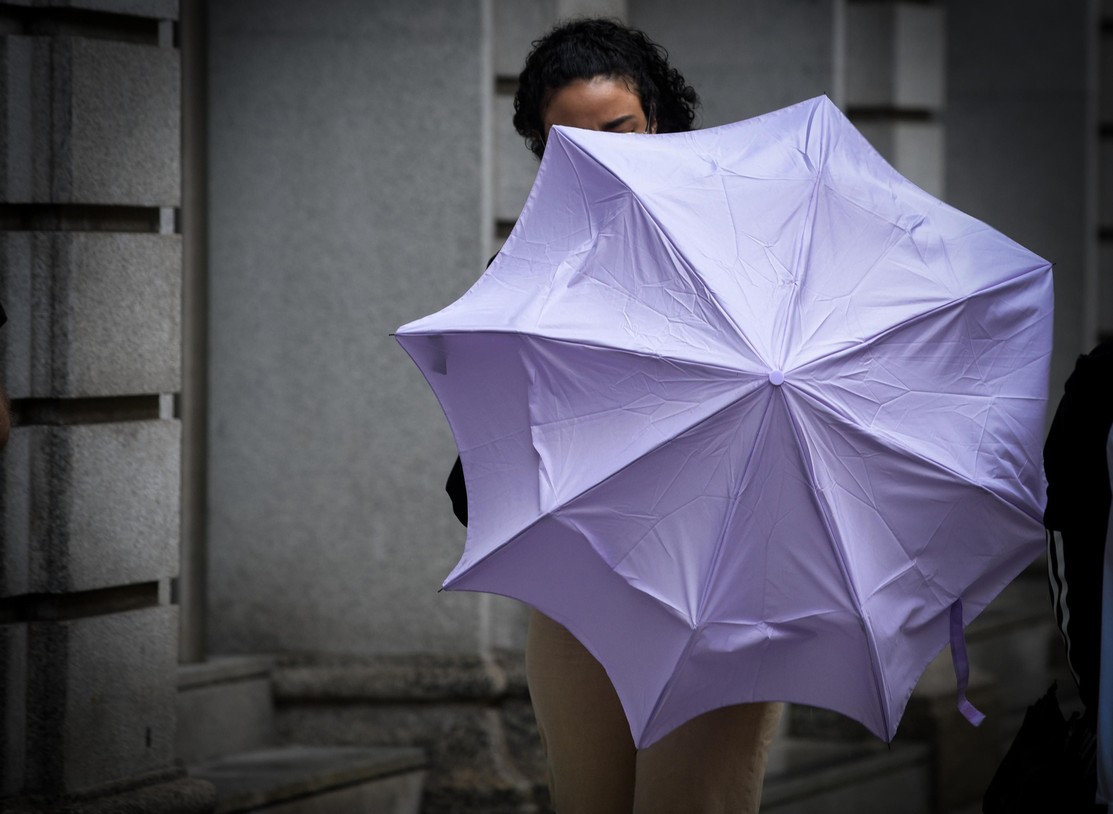 Imágenes del temporal de lluvia y viento en Sevilla