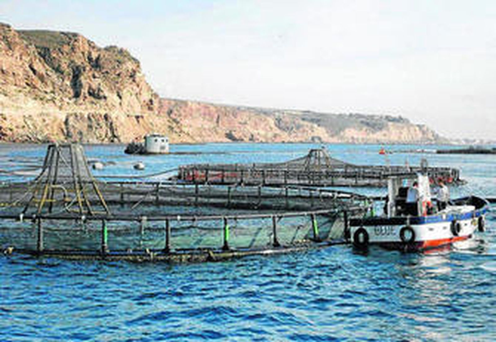 Piscifactoría de Piagua en Aguadulce, del Grupo Culmárex.