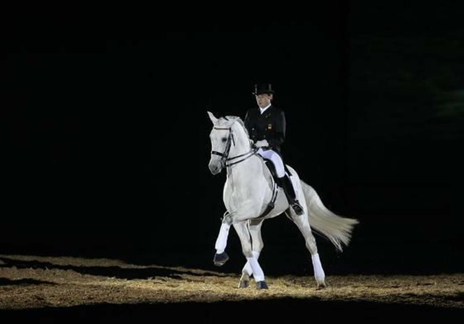 Juan Manuel Muñoz, durante su demostración de doma clásica.

Foto: Juan Carlos Muñoz