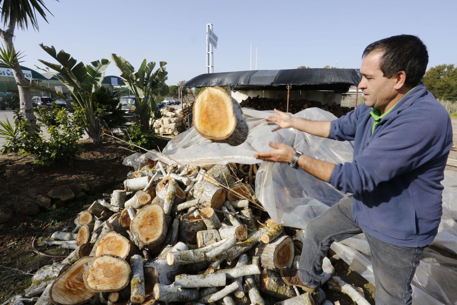 Juan Marín, responsable del vivero de Estella del Marqués, en plena faena.