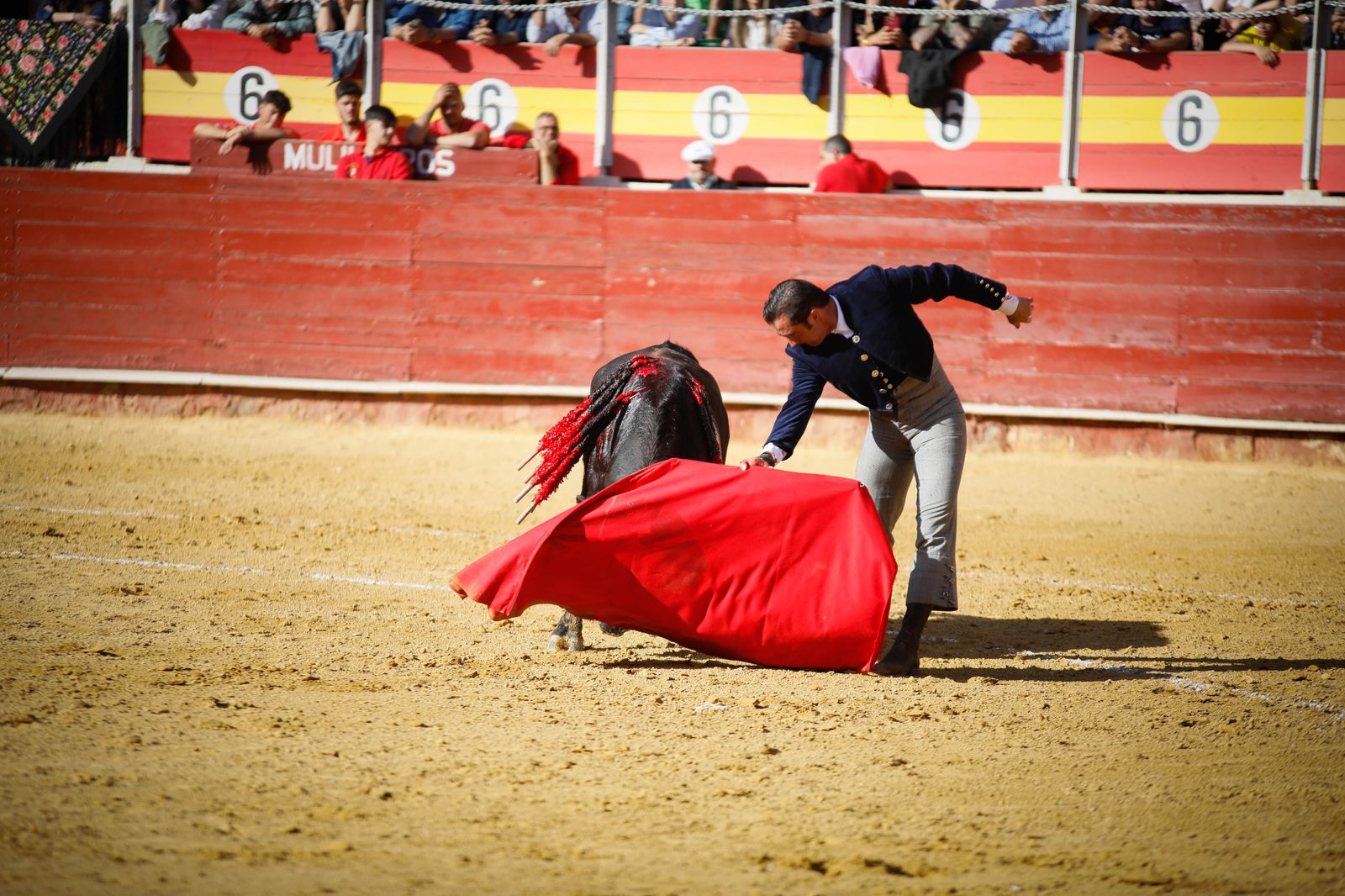 Imágenes del festival mixto lucha contra el cáncer