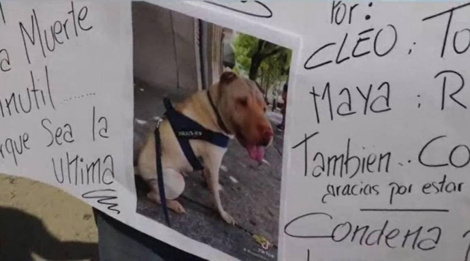 Fragmento de una pancarta con la que los vecinos de El Álamo denunciaban el maltrato animal en una guardería canina.