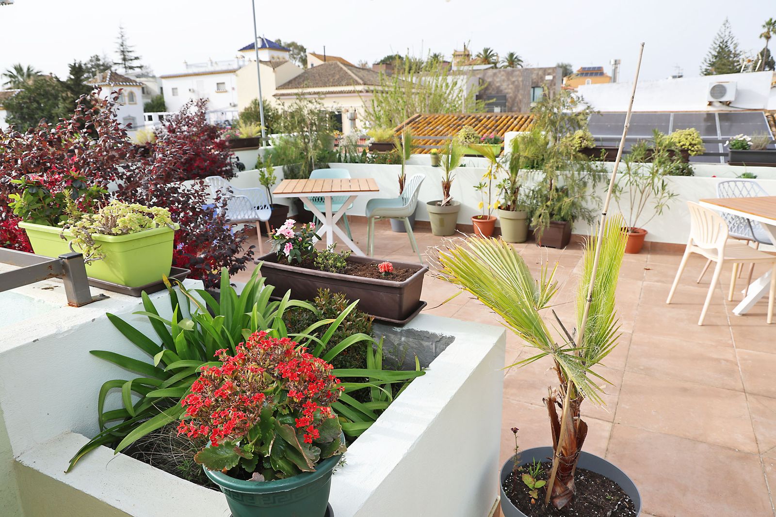 La Tertulia Cofrade 'El Aguaó' en fotografías