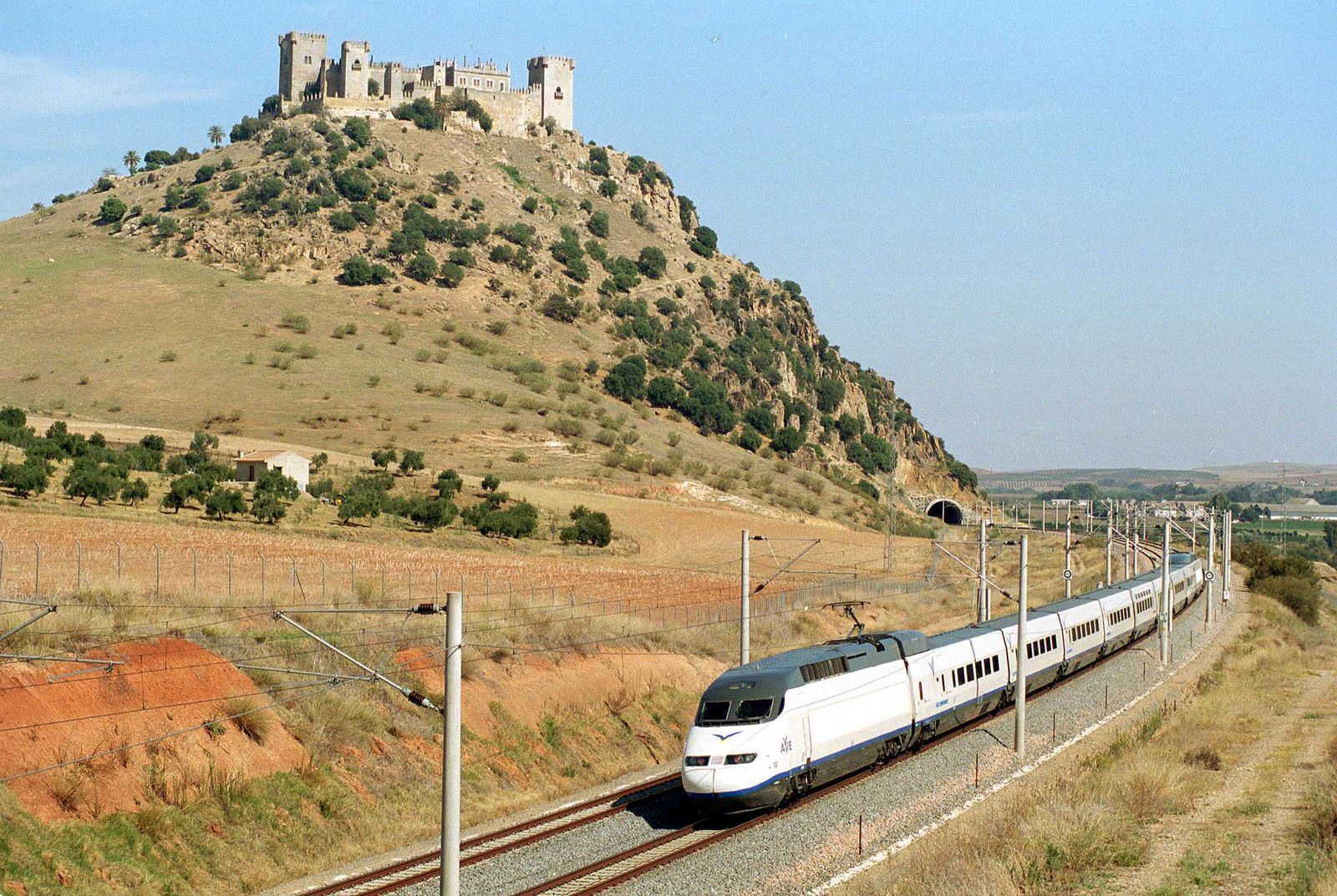 Un tren AVE a su paso por el término municipal de Almodóvar del Río.