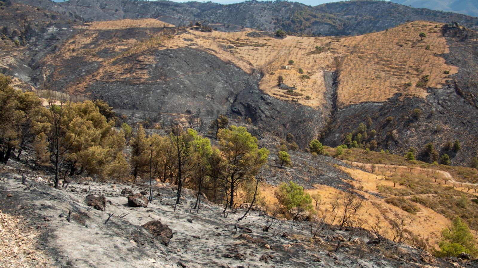 Algunas zonas se han salvado