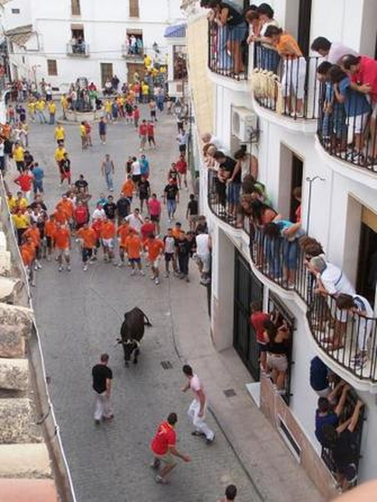 Un momento de las carreras de toro de cuerda en Carcabuey.