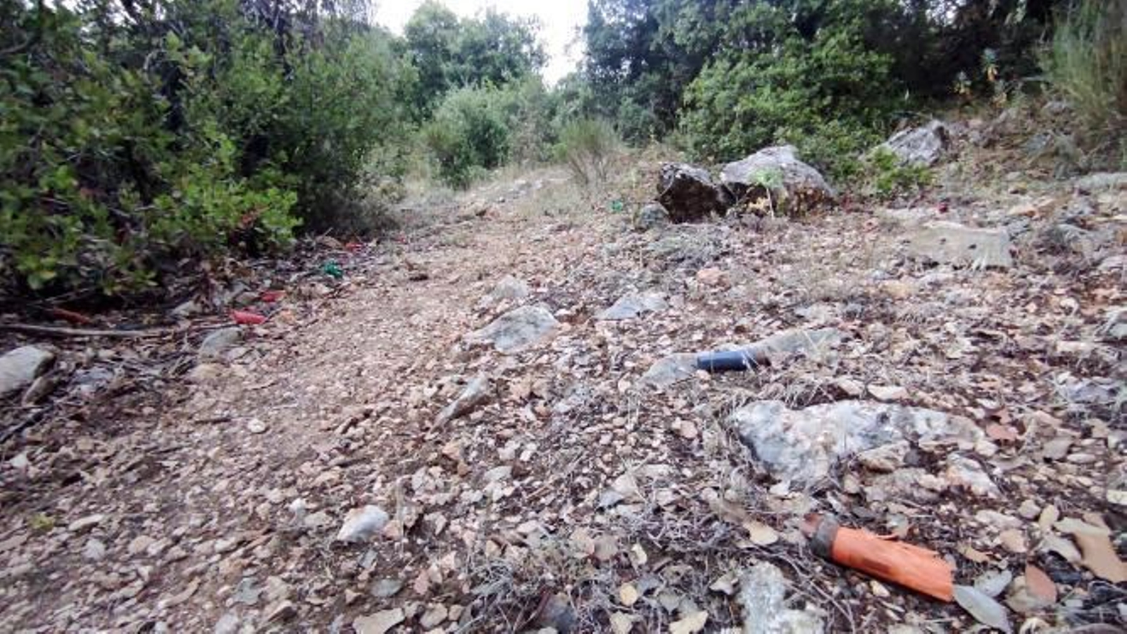 Restos de cartuchos de escopeta en un paraje de Sierra Mágina. Restos de cartuchos de escopeta en un paraje de Sierra Mágina.