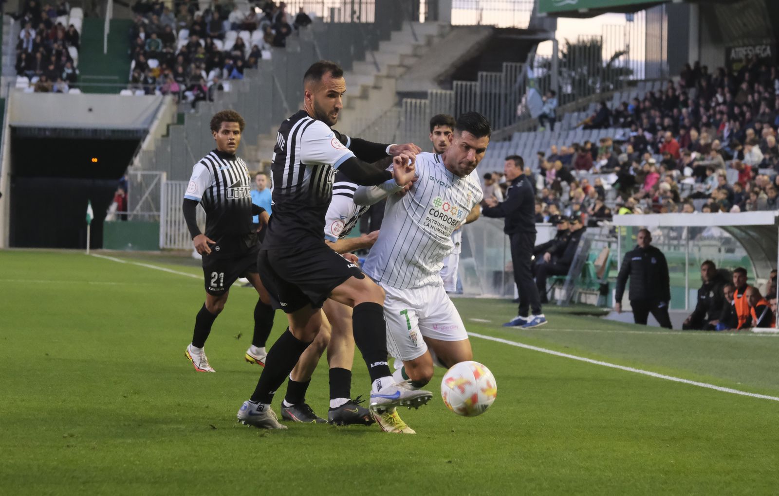 Las imágenes de la derrota del Córdoba CF ante la Balona en El Arcángel