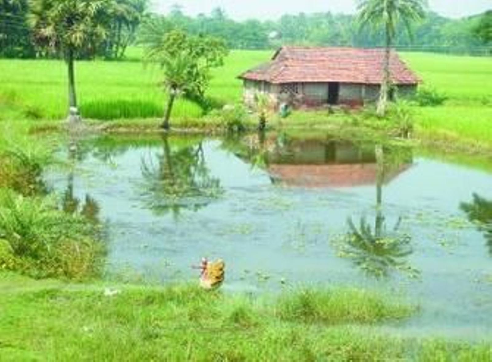 Fernando Mesquida colaboró en labores de enfermería y con un programa para mujeres embarazadas.