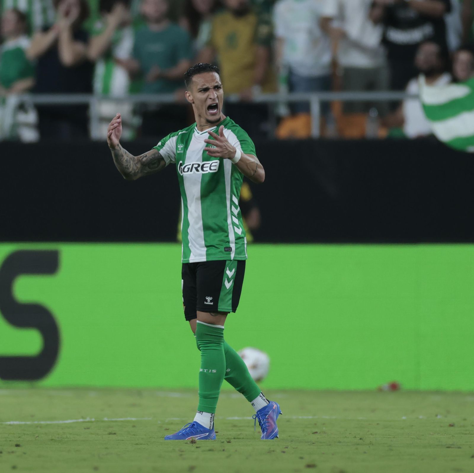 Las fotos del Betis - Nottingham Forest