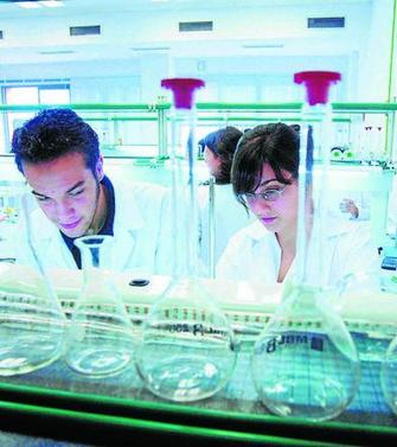 El proyecto podría establecer nuevos vínculos en factores genéticos.