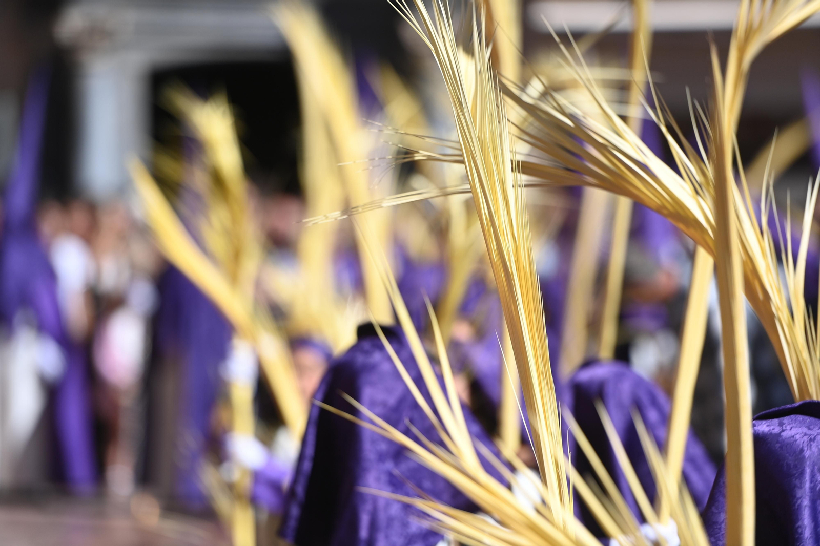 Las fotos de Pollinica en su procesión del Domingo de Ramos en Málaga