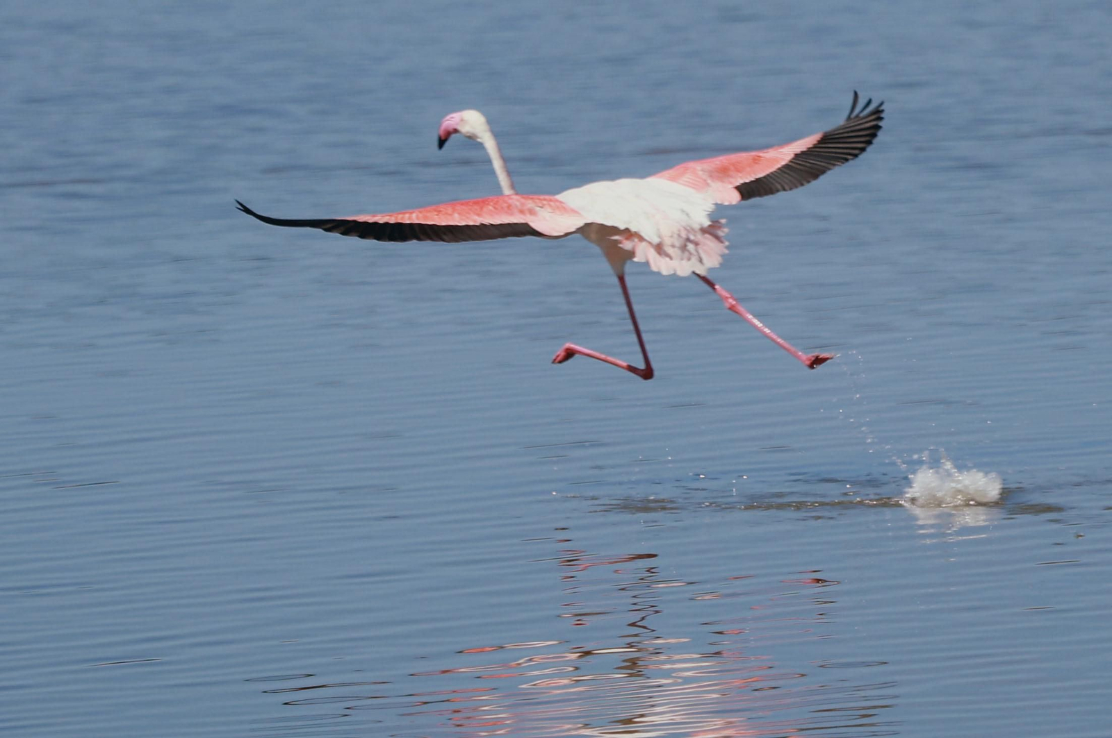 Imágenes del viernes 3 de mayo en Huelva