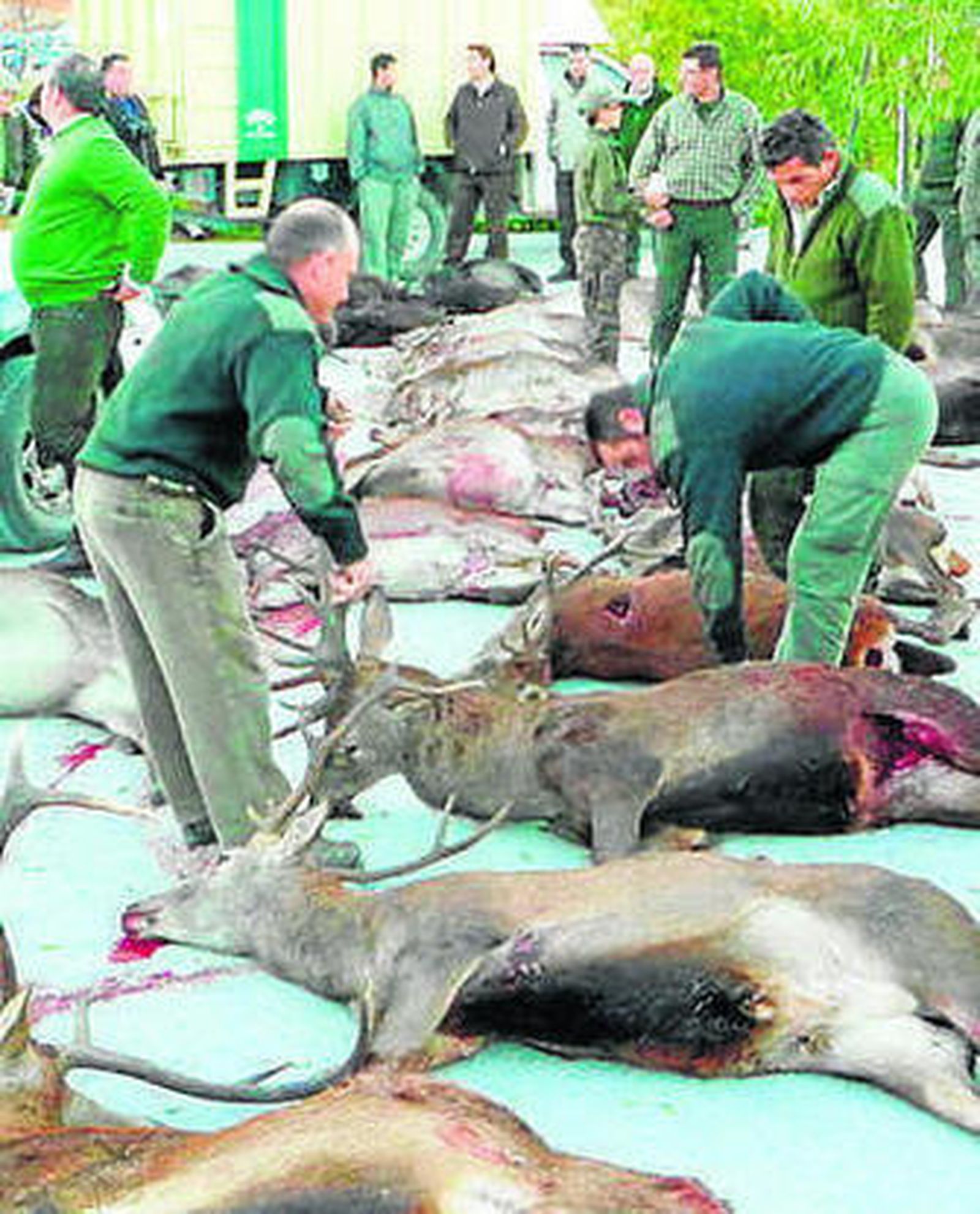 Una montería en Bacares.